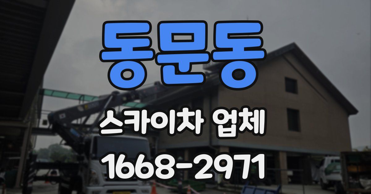 동문동 스카이차 업체