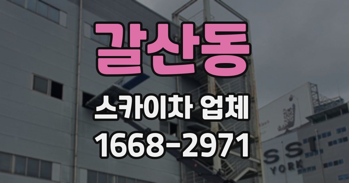 갈산동 스카이차 업체