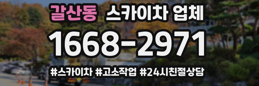 갈산동 스카이차 업체