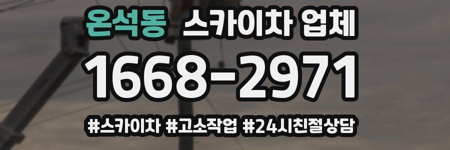 온석동 스카이차 업체