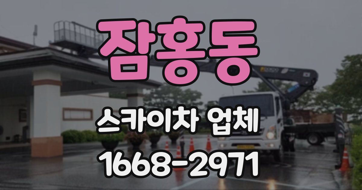 잠홍동 스카이차 업체