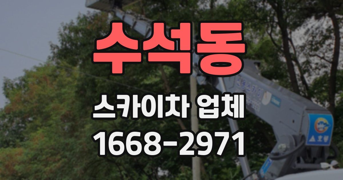 수석동 스카이차 업체