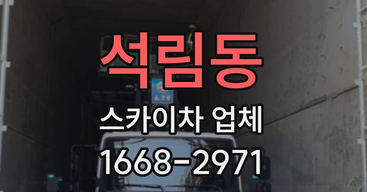석림동 스카이차 업체