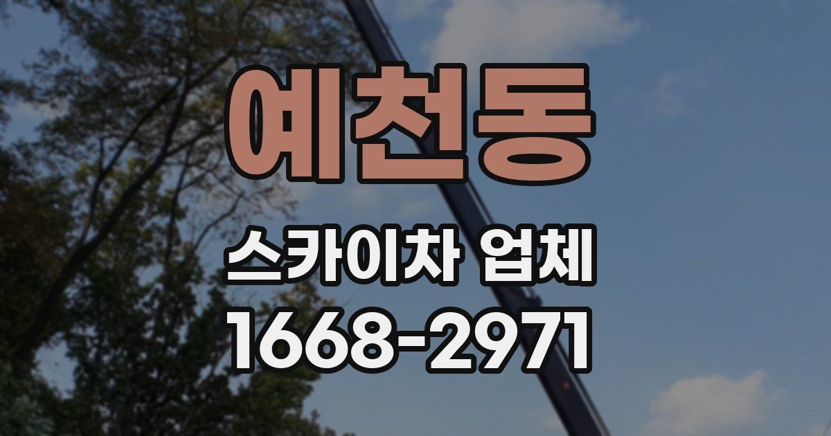 예천동 스카이차 업체