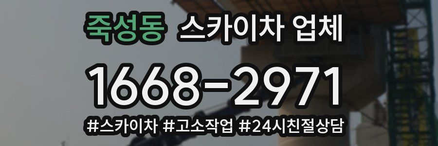 죽성동 스카이차 업체