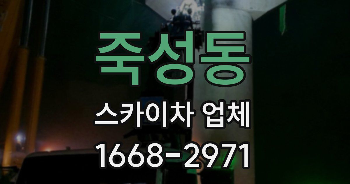 죽성동 스카이차 업체