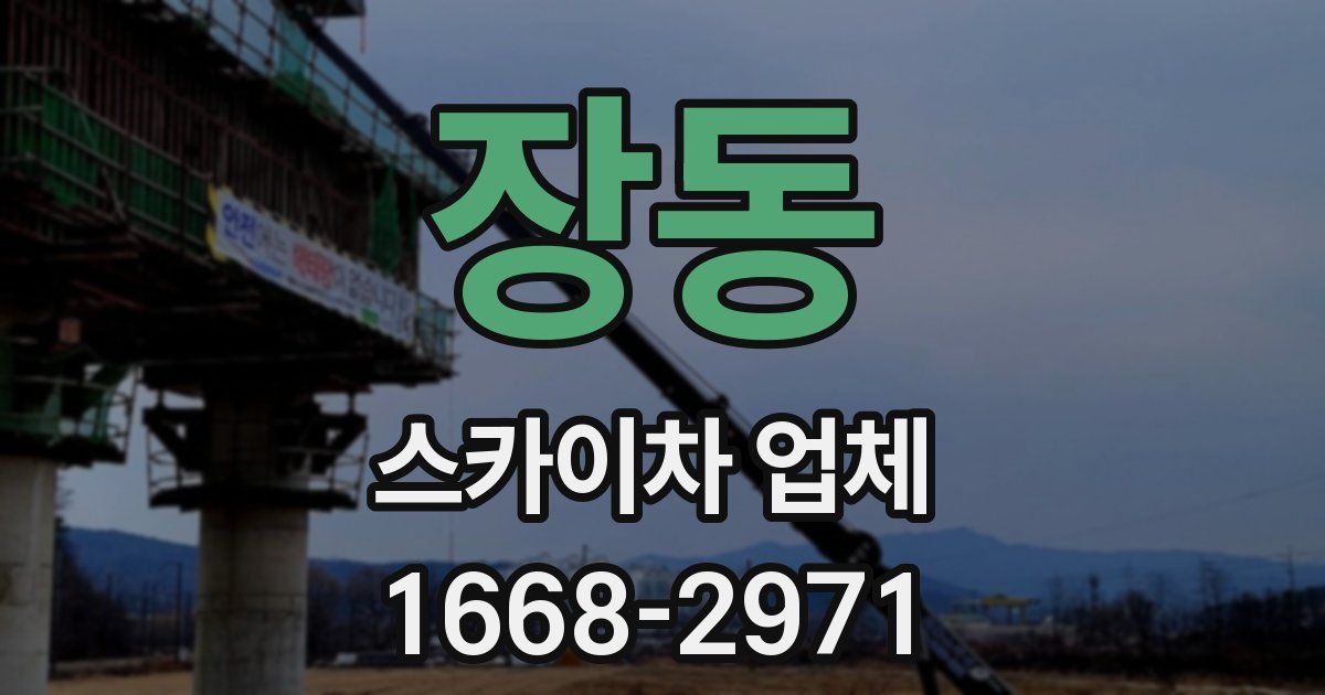 장동 스카이차 업체