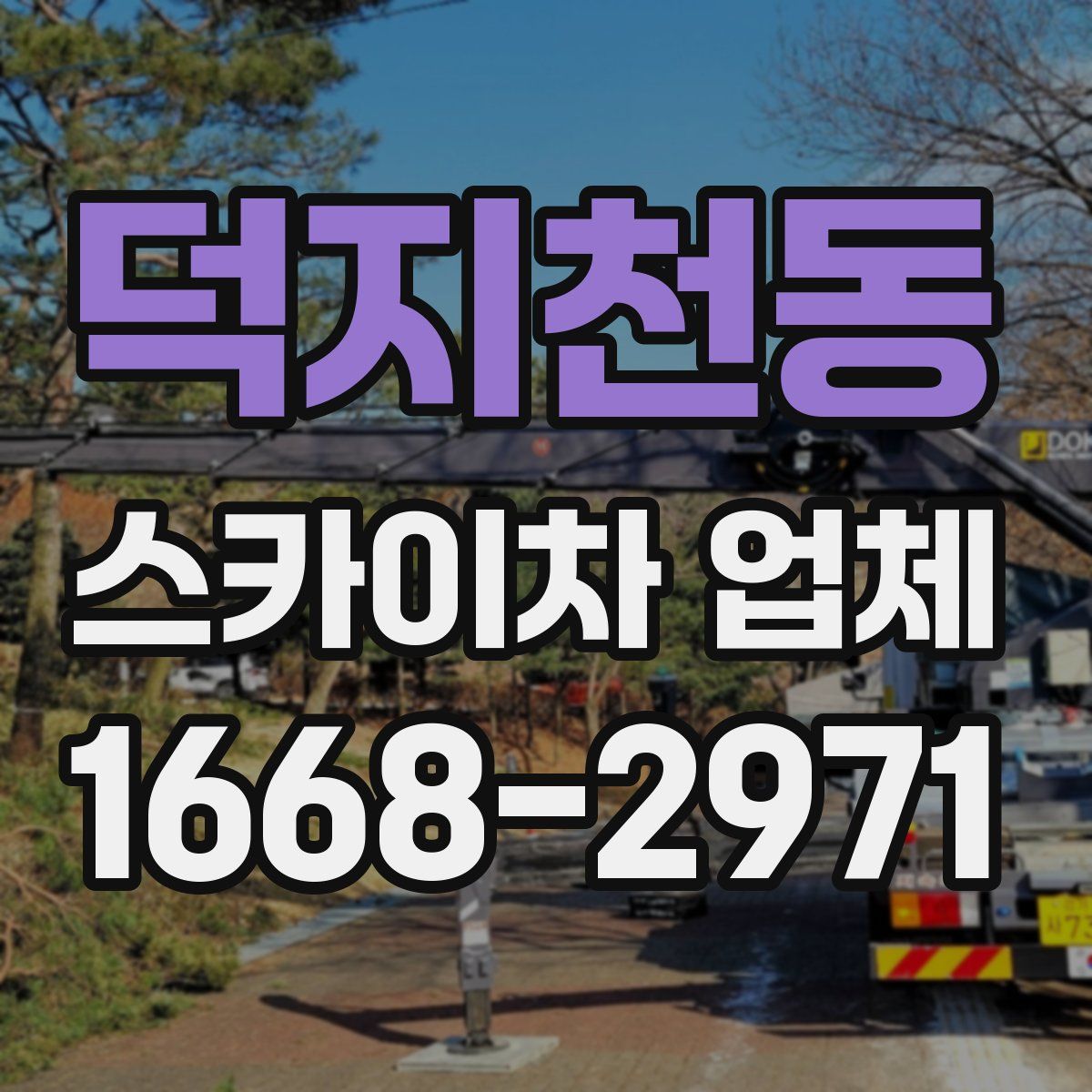 덕지천동 스카이차 업체