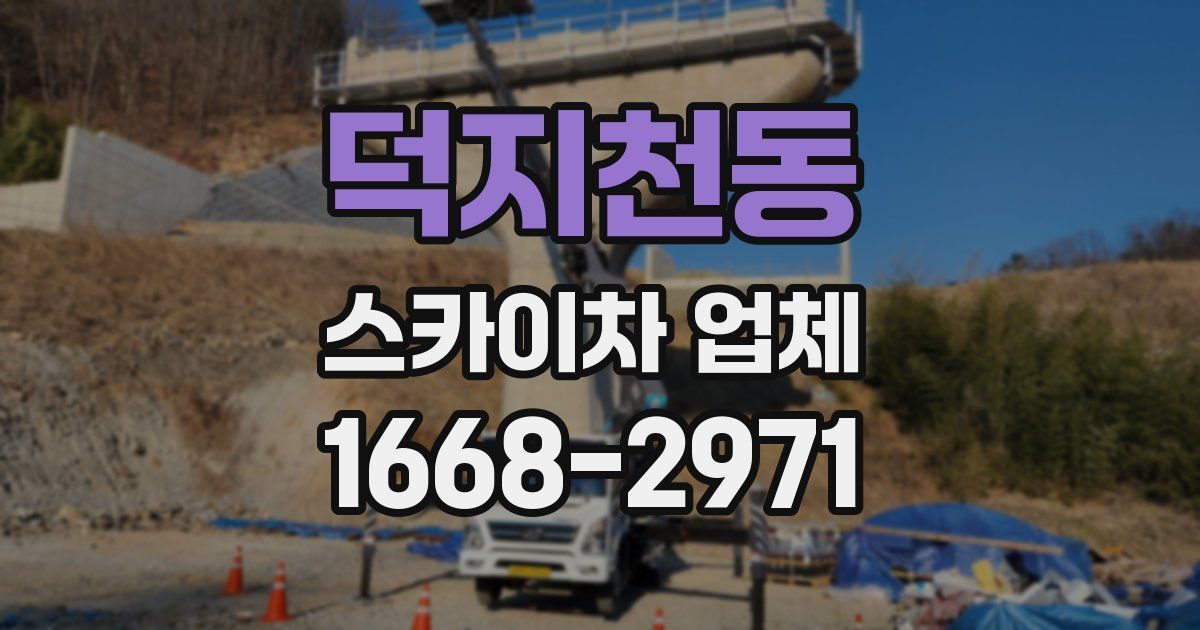 덕지천동 스카이차 업체