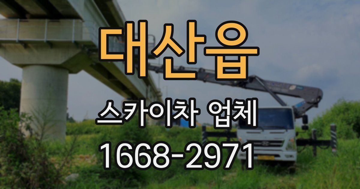 대산읍 스카이차 업체