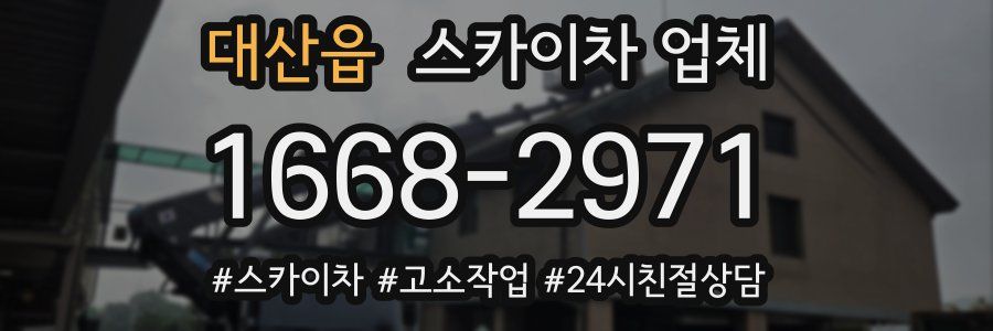 대산읍 스카이차 업체