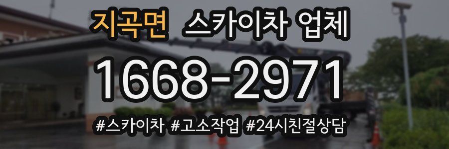 지곡면 스카이차 업체