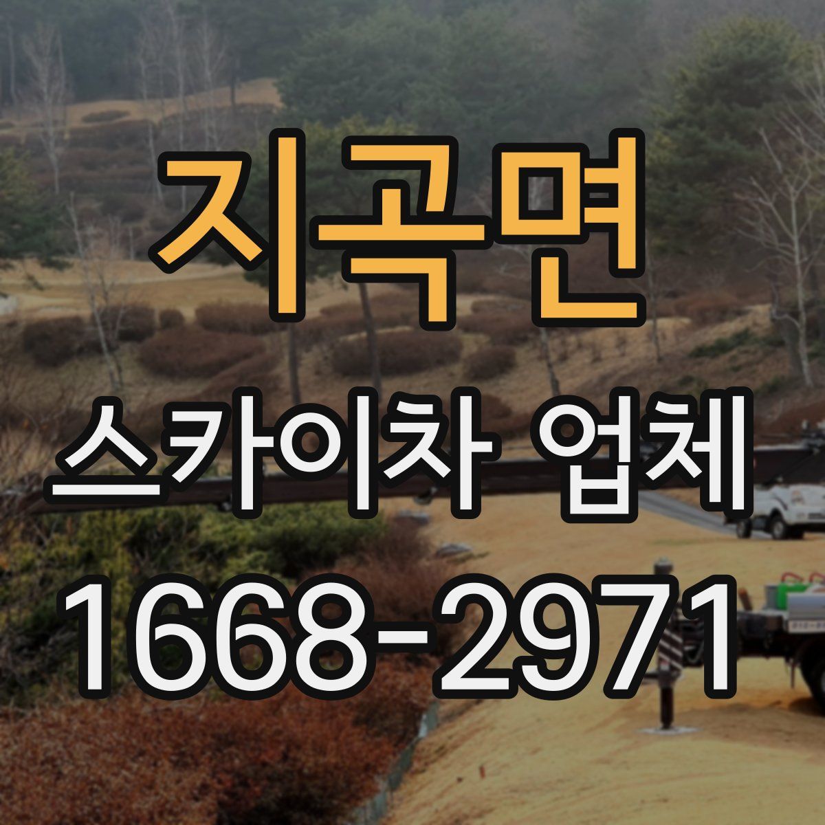 지곡면 스카이차 업체