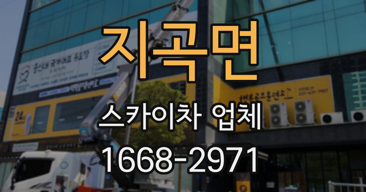 지곡면 스카이차 업체