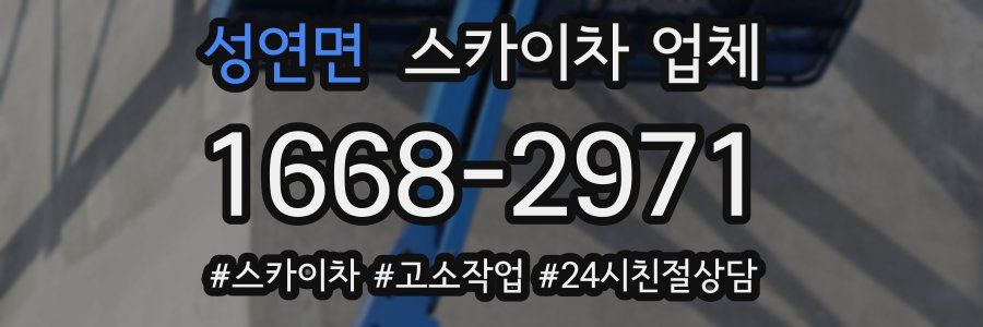성연면 스카이차 업체