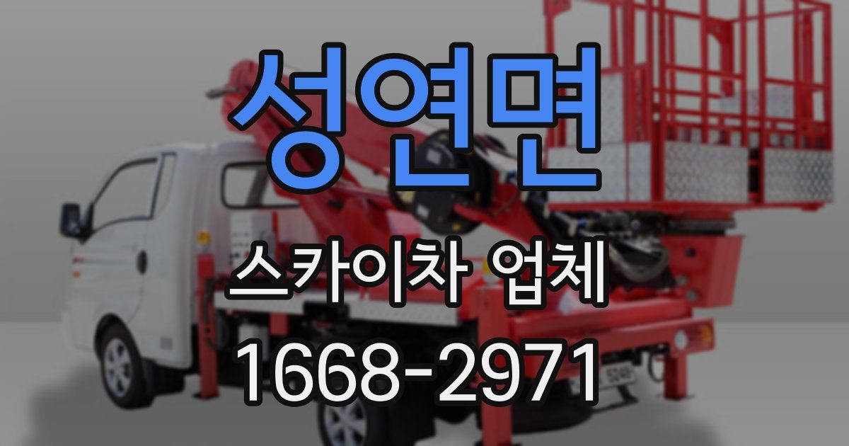 성연면 스카이차 업체
