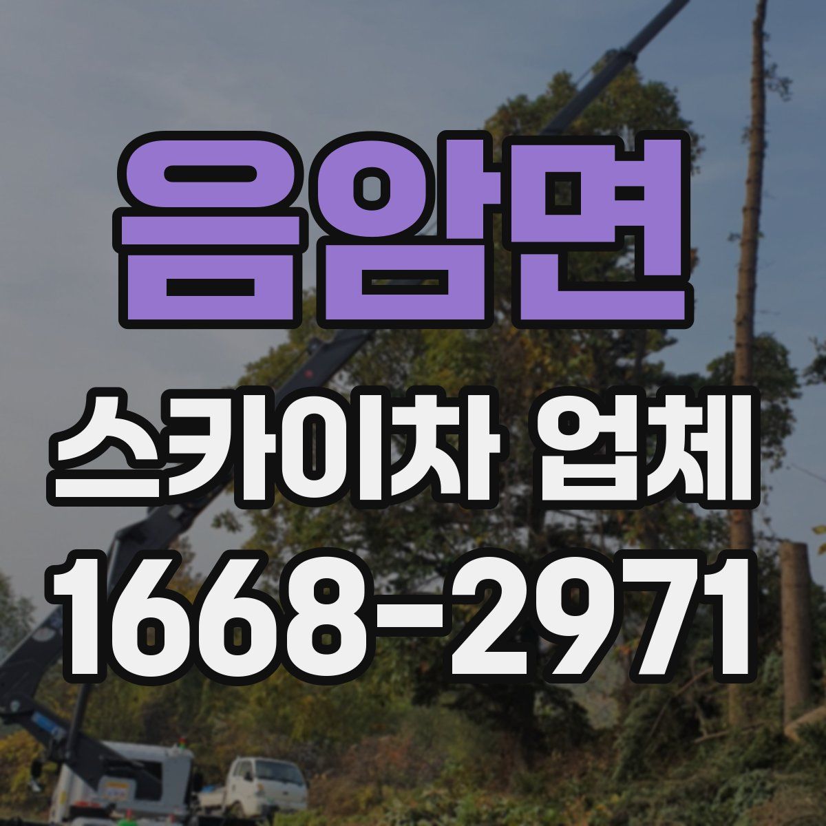 음암면 스카이차 업체