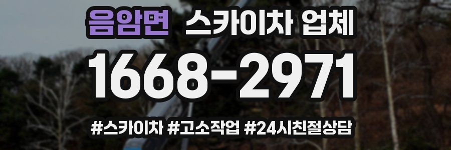 음암면 스카이차 업체