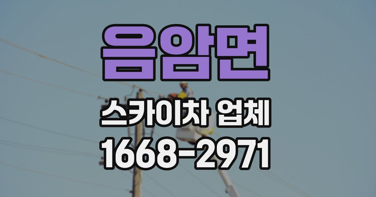 음암면 스카이차 업체