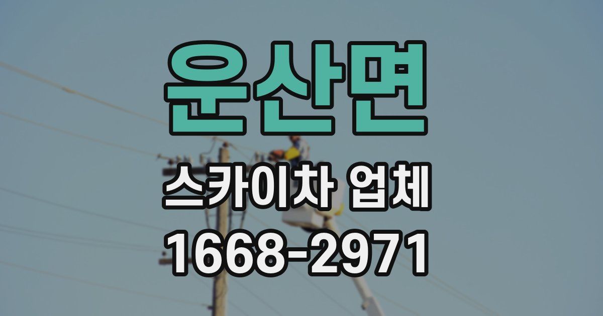 운산면 스카이차 업체
