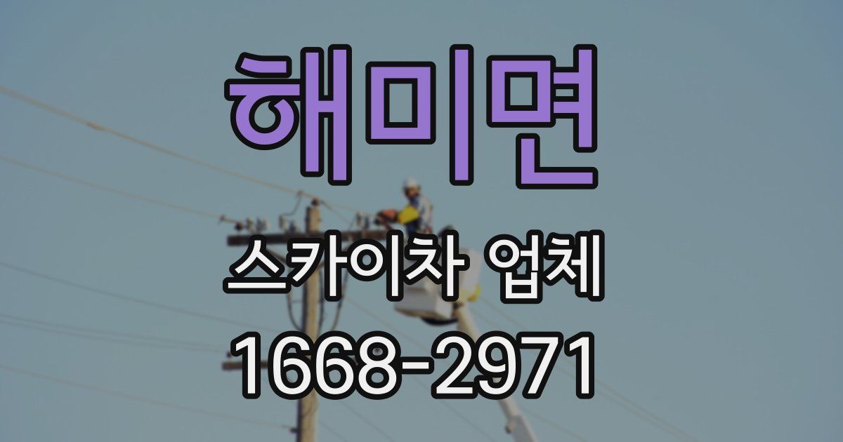 해미면 스카이차 업체