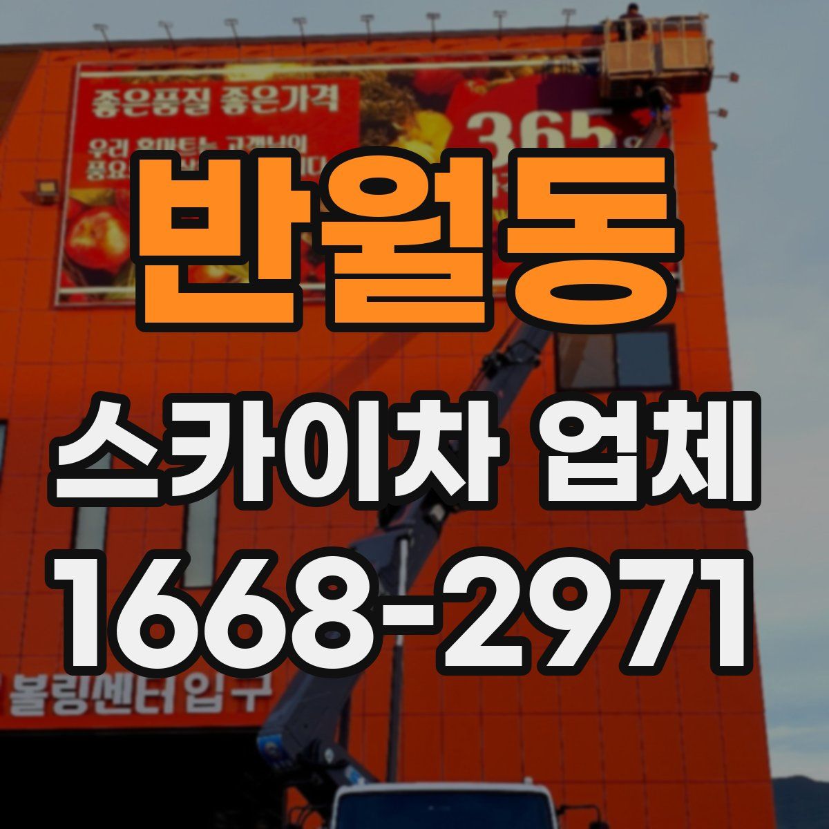 반월동 스카이차 업체