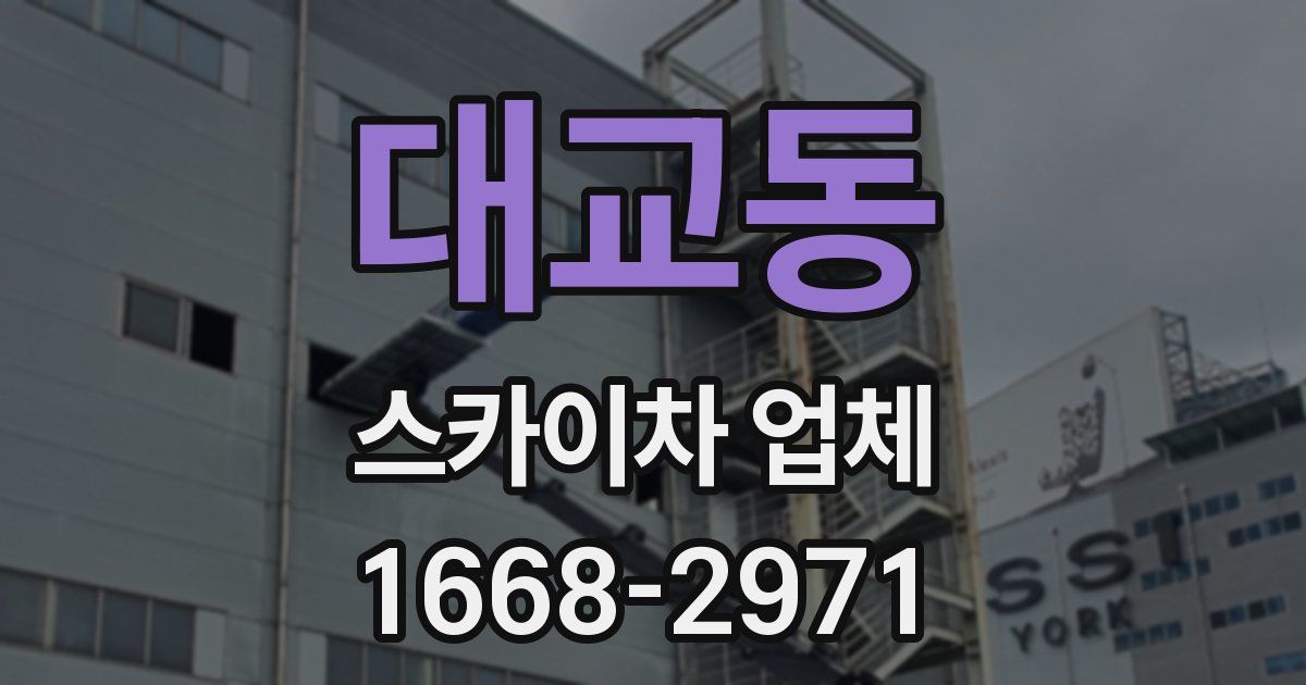 대교동 스카이차 업체