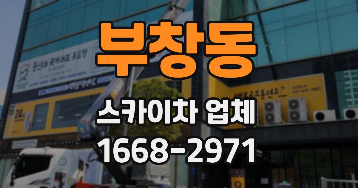 부창동 스카이차 업체