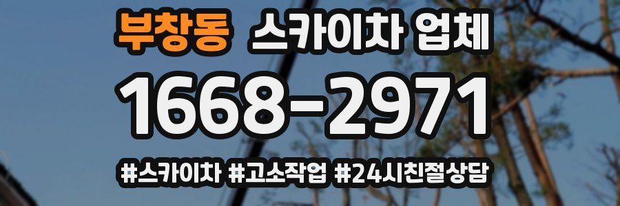 부창동 스카이차 업체