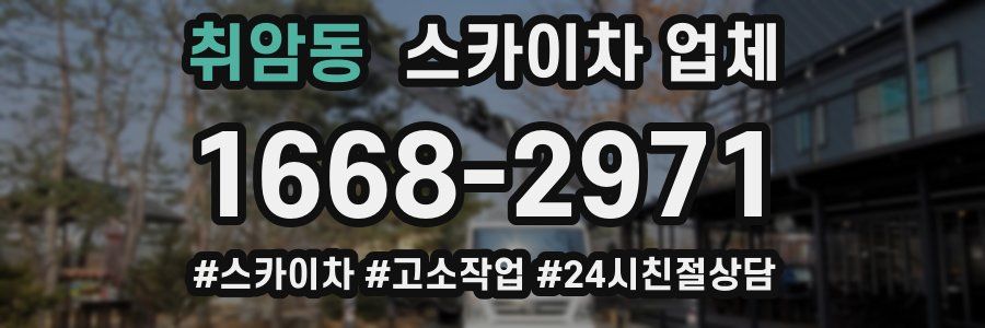 취암동 스카이차 업체