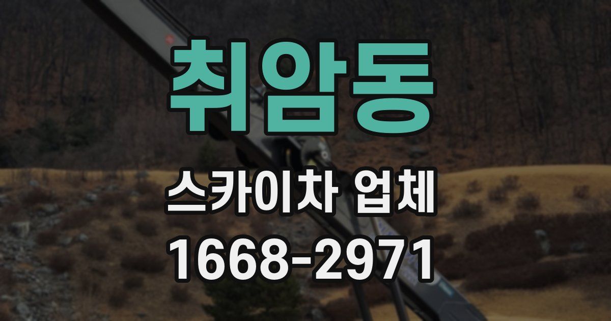 취암동 스카이차 업체