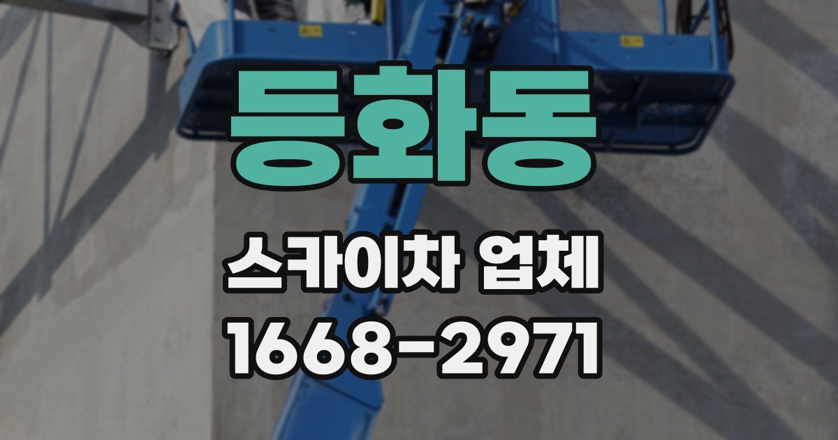 등화동 스카이차 업체