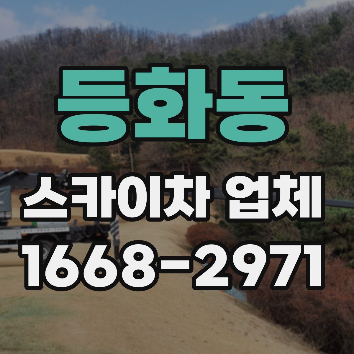 등화동 스카이차 업체