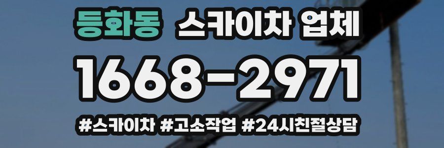 등화동 스카이차 업체