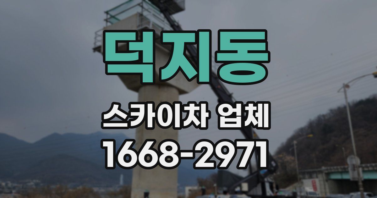 덕지동 스카이차 업체