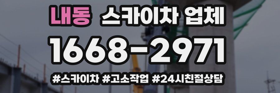 내동 스카이차 업체