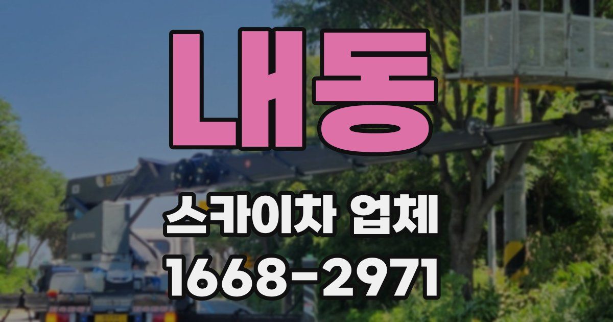 내동 스카이차 업체