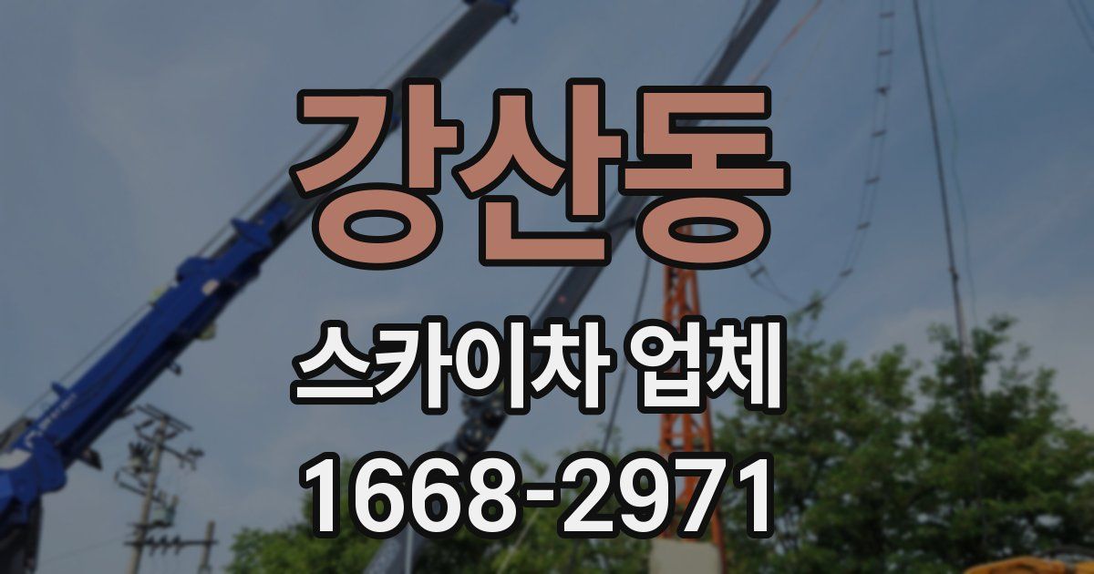 강산동 스카이차 업체