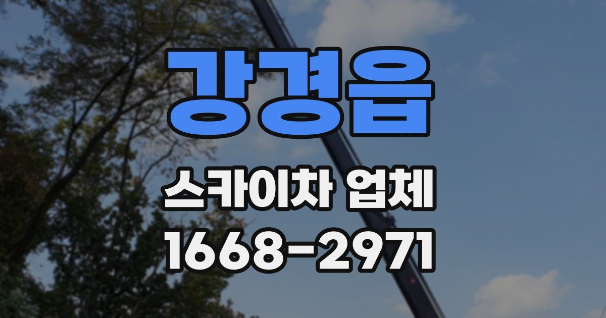 강경읍 스카이차 업체