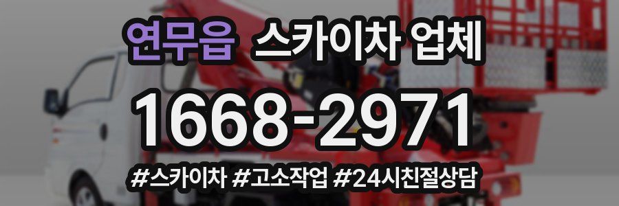 연무읍 스카이차 업체