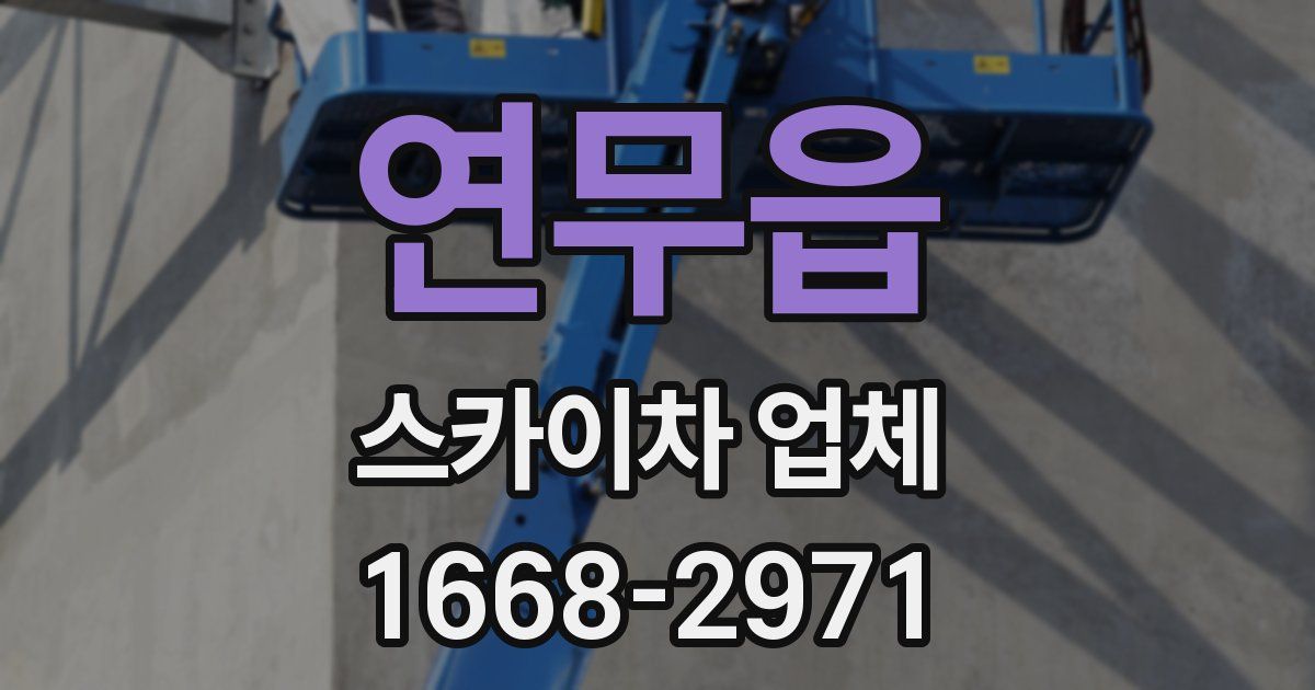 연무읍 스카이차 업체