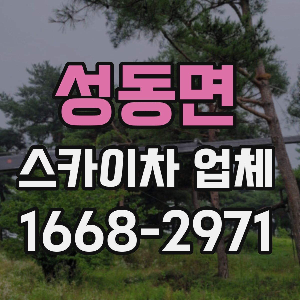 성동면 스카이차 업체