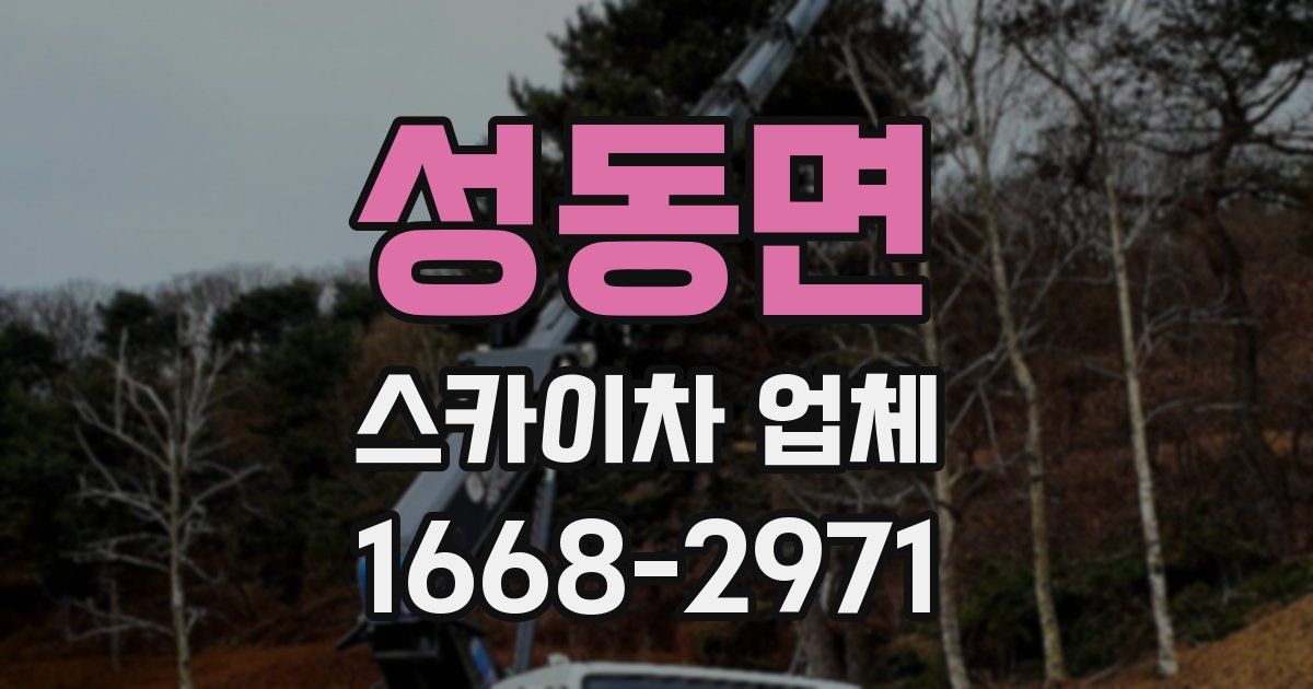 성동면 스카이차 업체