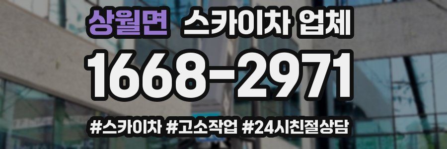 상월면 스카이차 업체