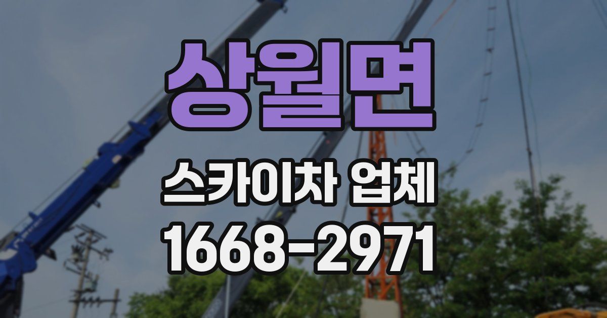 상월면 스카이차 업체