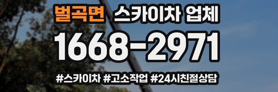 벌곡면 스카이차 업체