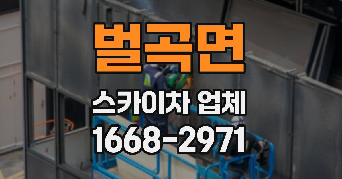 벌곡면 스카이차 업체