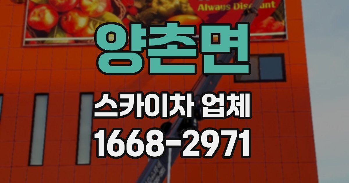양촌면 스카이차 업체