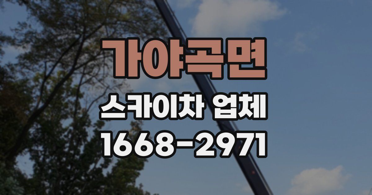 가야곡면 스카이차 업체