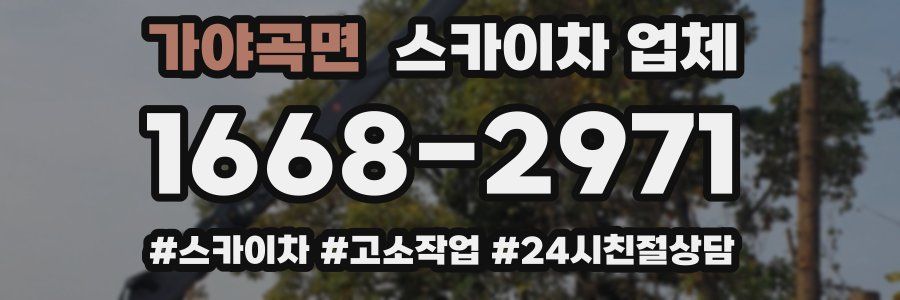가야곡면 스카이차 업체